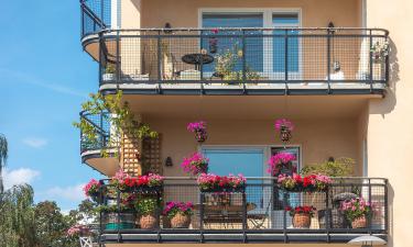 ¿Sin balcón? Ventajas (y desventajas) de vivir en un departamento sin terraza