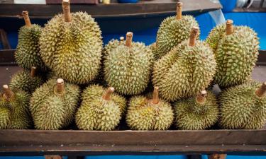 Por qué el durián está prohibido en el transporte público de Singapur